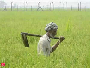 'Over 1 lakh Marathwada farmers on brink of suicide'