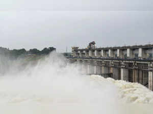 Haryana releases more water from Hathnikund barrage