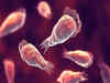 US: Brain-eating amoeba kills 2-year-old in Nevada. Check symptoms, key details