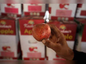 FILE PHOTO: India to face apple crunch as heavy rain hits production