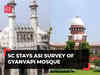 Gyanvapi mosque survey: SC stays Varanasi court order till July 26; asks Muslim side to approach HC