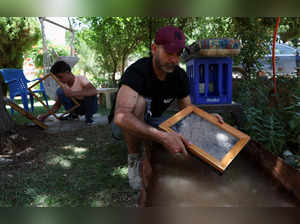 Hamza Shamas takes out the soaked fibre from the water during the paper making process at Bodai
