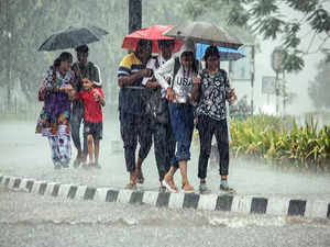Karnataka rains: Schools closed in 5 talukas of Chikkamagaluru district