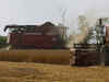 EU wheat at 3-1/2 month high as Ukrainian Danube grain warehouses attacked