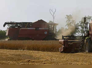 Combines harvest wheat in a field in the Zaporizhzhia region