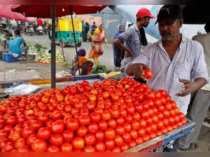 A vendor arranges tomatoes on a cart in Ahmedabad