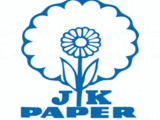 JK Paper Q1 Results: Net profit rises 18% to Rs 313 crore