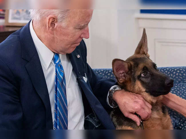 (FILES) US President Joe Biden pets his new dog Commander as he speak virtually with military service members to thank them for their service and wish them a Merry Christmas, from the South Court Auditorium of the White House in Washington, DC, on December 25, 2021. Problem pets are hounding President Biden once again, after Commander was involved in several biting incidents, including at the White House, the second time that a Biden family pooch has been accused of nipping staff. Commander, a German Shepherd who first arrived at the bustling White House in 2021, will have to undergo a