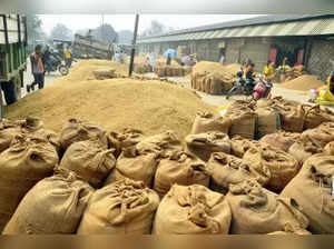 Mathura: Piles of paddy rice lying at an agriculture market in Mathura on Tuesday, Nov. 1, 2022. (Photo: Yuvnish/IANS)