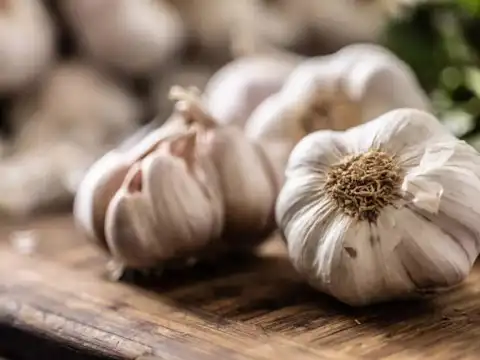 Garlic