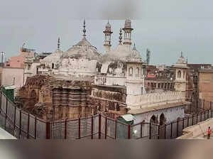 ASI says survey won’t damage Gyanvapi mosque; Allahabad high court order likely on Thursday