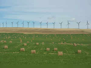 FILE PHOTO: A wind farm generates electricity near bales of hay in the foothills of the Rocky Mountains