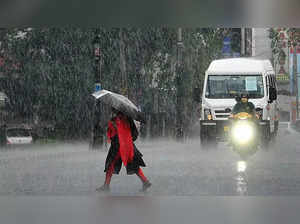 Kerala weather updates: Heavy rain alert in some places; schools, colleges shut in 3 districts