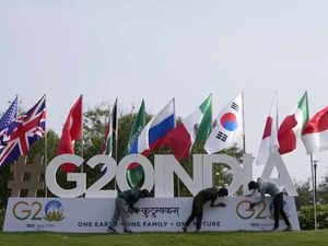 G20 Energy Transitions Ministerial meeting