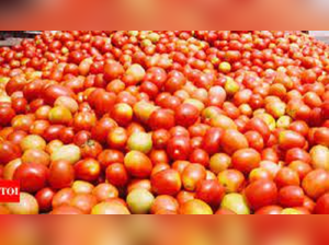 ‘Robbers’ kill Andhra Pradesh farmer who made ‘millions’ selling tomatoes