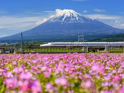 ​Japan​