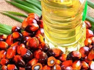 Godrej Agrovet gets 47,000-acre land from Telangana govt for oil palm plantation