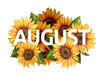 US holidays: Know all the fun and quirky days to celebrate in August 2023; Check full list here