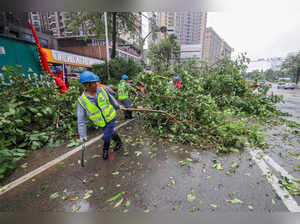 Workers clean up damaged trees and branches on road after Typhoon Doksuri landfall in Jinjiang, in China's eastern Fujian province on July 28, 2023. Typhoon Doksuri hit southeastern China on July 28 morning, bringing high winds and battering rains to coastal areas after the deadly storm bypassed Taiwan on its way from the Philippines. Some streets in the city were strewn with fallen trees, while significant flooding elsewhere impeded passage by vehicles and brought police to the scene. - China OUT (Photo by AFP)