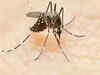 Dengue cases climb to 243 in Delhi, 121 in July