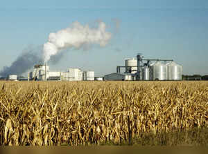 Ethanol is an agro-based product, mainly produced from a by-product of the sugar industry, namely molasses.