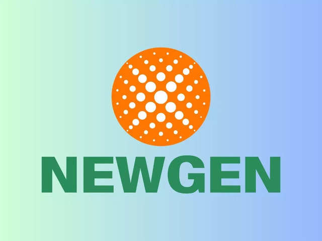 ​Newgen Software Technologies | YTD Price Return: 137%