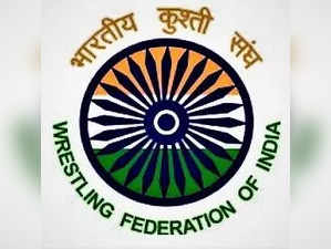 WFI logo