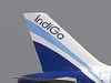 IndiGo posts profit third year in a row