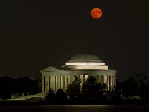 The World Of Washington
