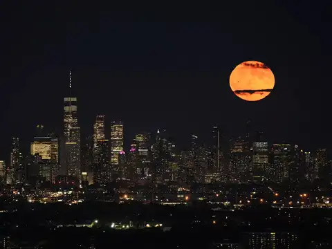Silhouettes Of Manhattan
