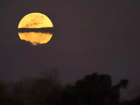 Sturgeon moon