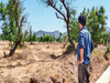 Vellore techie's green mission: Restoring forests one step at a time