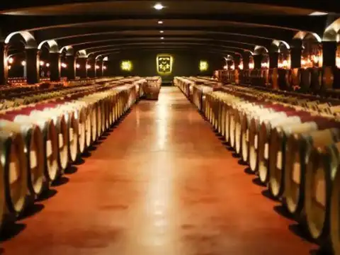 ​Chateau Smith Haut Lafitte (France)​