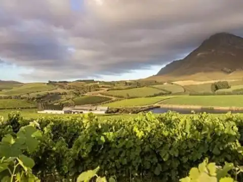 ​Creation (South Africa)​