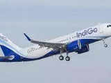 Going global good for IndiGo as home turf to get crowded