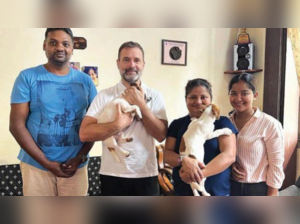 On visit for puppy, Rahul tells MLAs to work with oppn