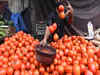 Tomato frenzy: A 5-hour wait for affordable Rs 60/kg tomatoes in Chennai