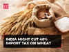 India might cut 40% import tax on wheat to boost supply