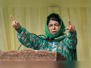 4 years of Art 370 abrogation: Mehbooba Mufti under 'house arrest'; roads leading to PDP, NC offices sealed