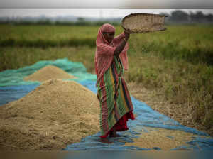Global food prices rise after Russia ends grain deal and India restricts rice exports