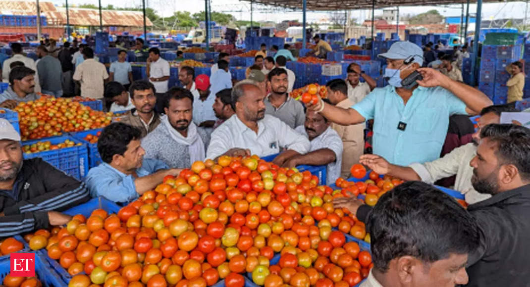 tomato crop: Tomatoes give farmers seat in Crorepati Club