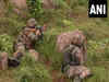 Army foils infiltration bid in J-K's Poonch; one terrorist killed