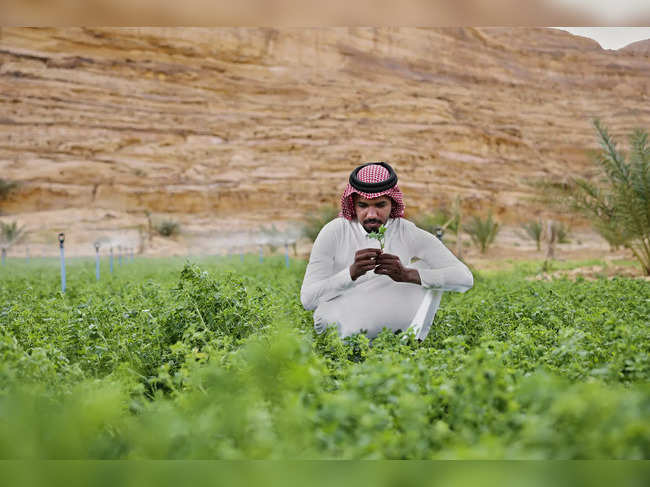 Saudi farmer istock