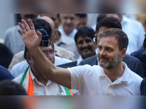 'Victory of truth': Cong leaders hail Rahul's reinstatement as LS MP