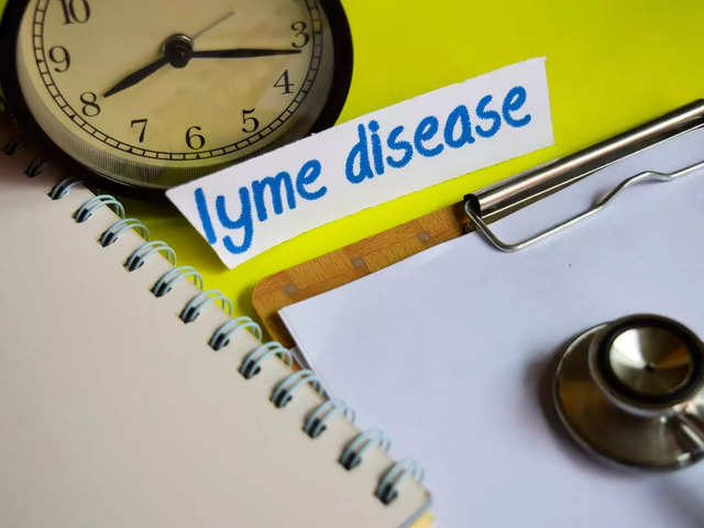 What is Lyme Disease