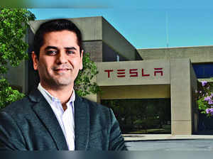 Tesla’s Taneja: The Meteoric Rise of a ‘Down-to-Earth Guy’