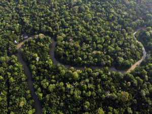 Amazon Forest talks: Leaders of 8 countries meet on protecting Amazon Forest, why is it so important?