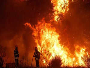 Portugal battles multiple wildfires amidst extreme heatwave: Here’s all you may want to know