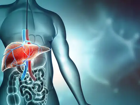 Protects The Liver From Damage