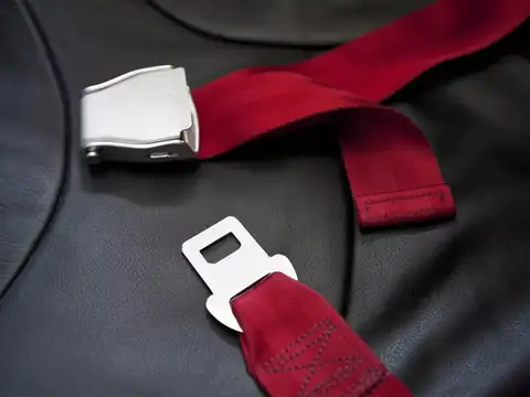 ​Seat Belts​